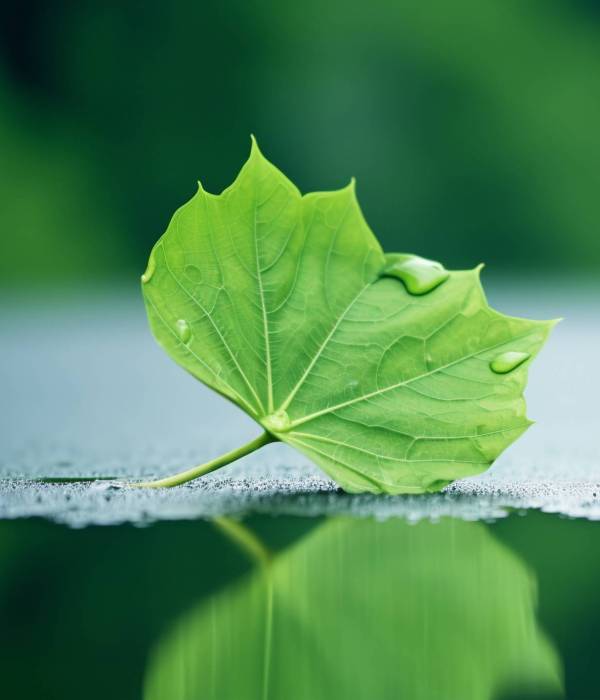 ai-generated-water-picture